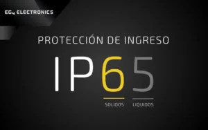 Protección de Ingreso