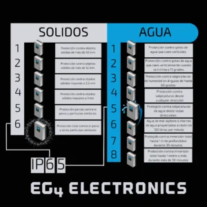 Protección de Ingreso